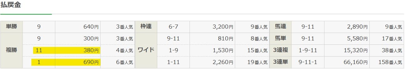 2024年11月24日東京9Rの結果
