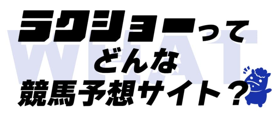 ラクショーってどんなサイト？