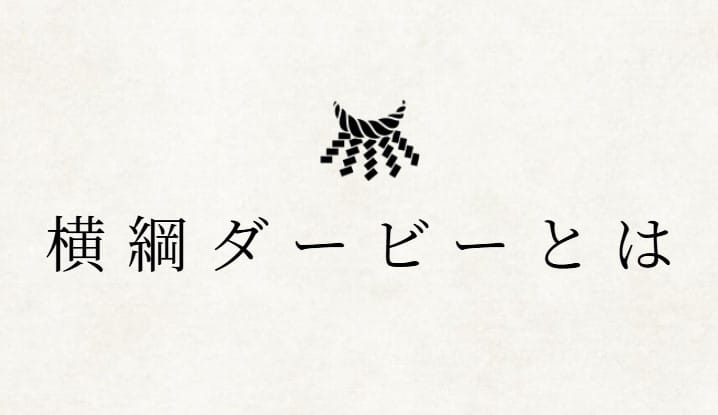 横綱ダービーの特徴
