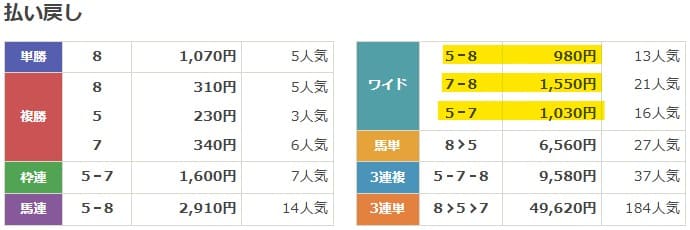 2025年5月10日京都11Rの結果
