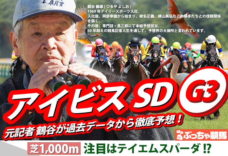 アイビスサマーダッシュのアイキャッチ画像