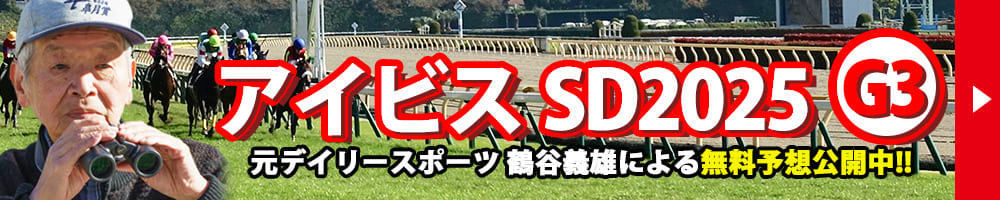 アイビスサマーダッシュ 2025 予想 記事リンクバナー