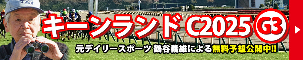 キーンランドカップ 2025 予想 記事リンクバナー
