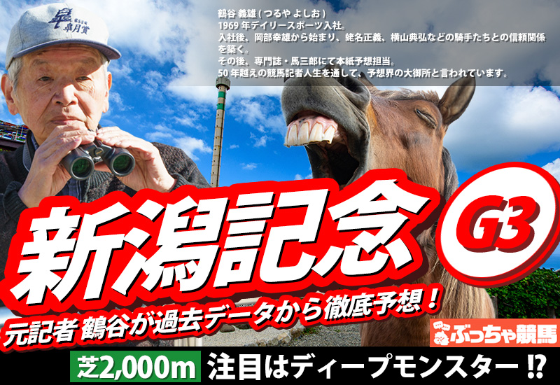 新潟記念2025アイキャッチ
