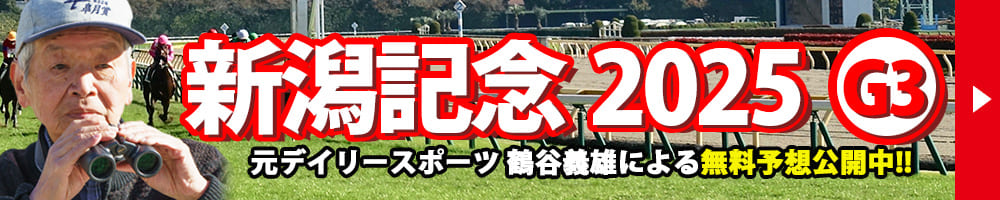 新潟記念 2025 予想 記事リンクバナー