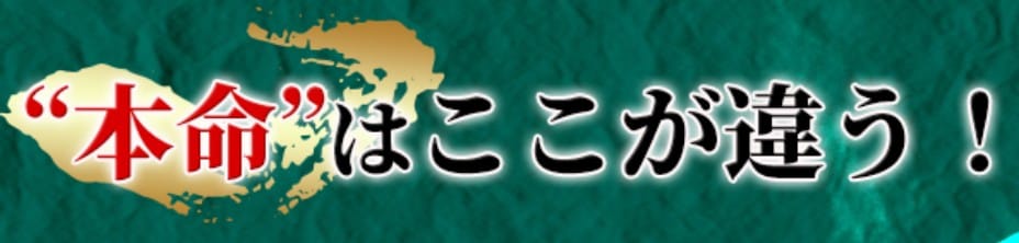 競馬予想サイト 本命とはどんなサイト？
