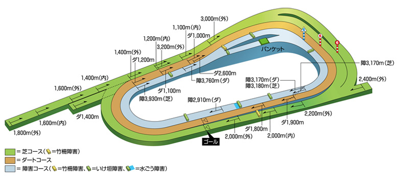 スワンステークス2025予想 京都競馬場芝1,400mのコース画像