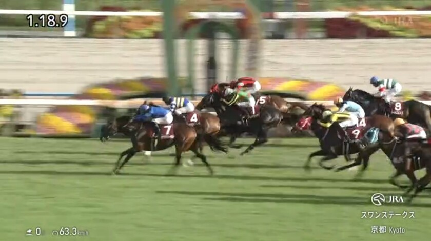 スワンステークス ゴールイン