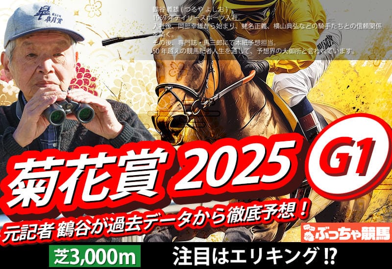 菊花賞2025予想