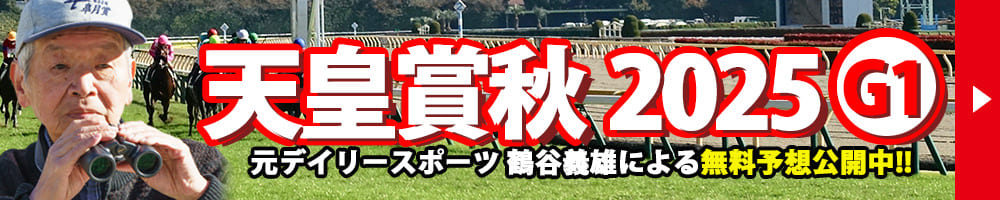 天皇賞秋 2025 予想 記事リンクバナー