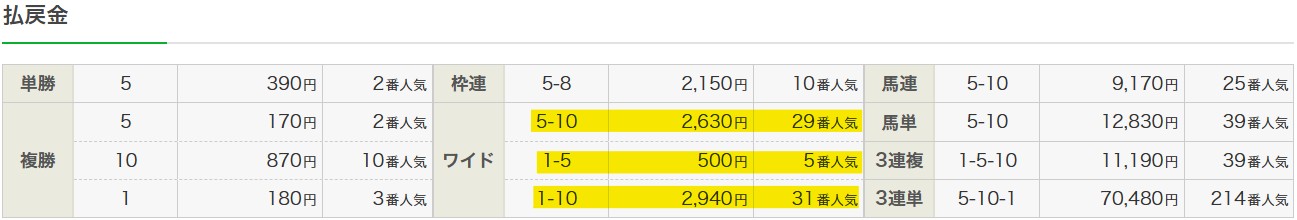 2025年10月25日東京11Rの結果