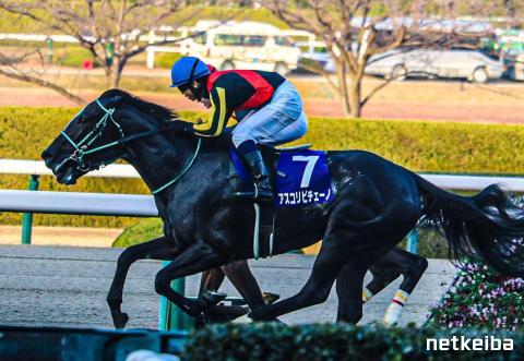 アスコリピチェーノ