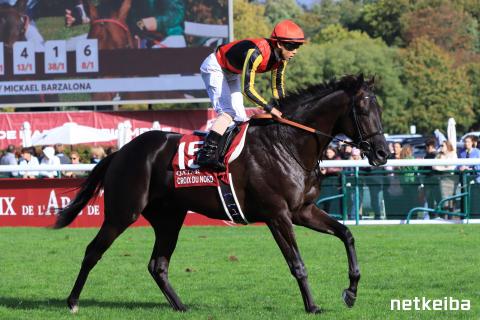 クロワデュノール