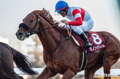 ダノンデサイル