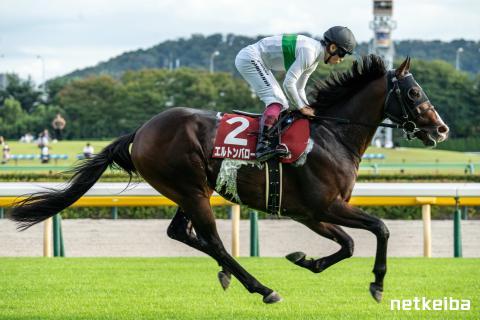 エルトンバローズ