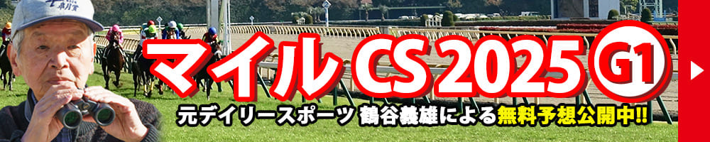 マイルチャンピオンシップ 2025 予想 記事リンクバナー