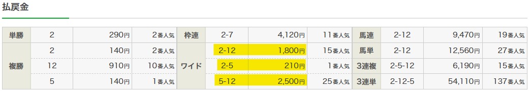 2025年11月16日東京9Rの結果