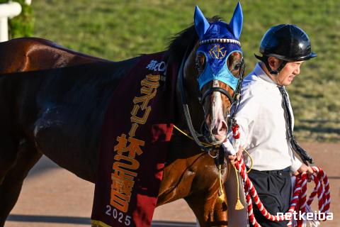 アドマイヤクワッズ