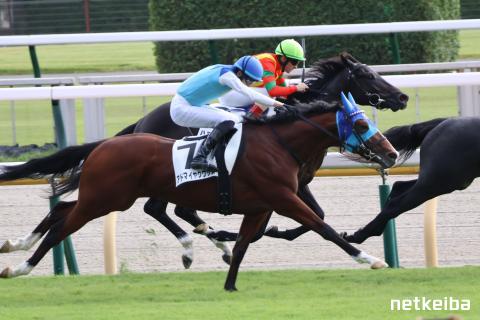 アドマイヤクワッズ