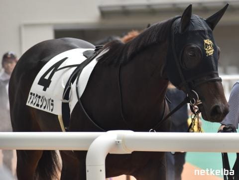 アスクエジンバラ