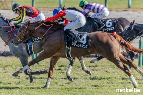 アーレムアレス