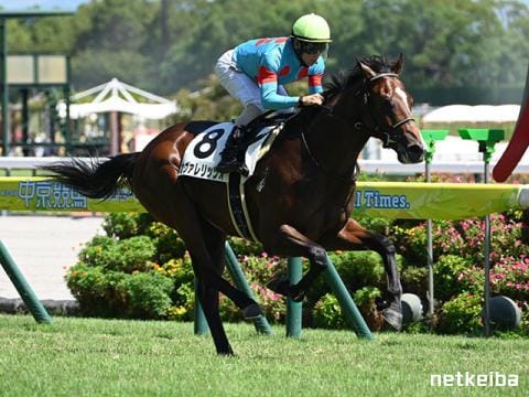 カヴァレリッツォ