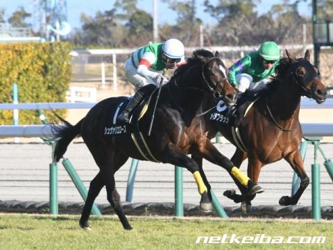 シュヴァリエローズ