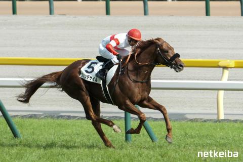 ダノンデサイル