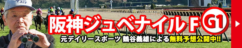 阪神ジュベナイルフィリーズ 2025 予想 記事リンクバナー