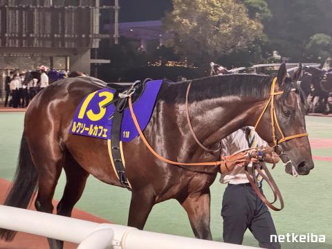 ルクソールカフェ