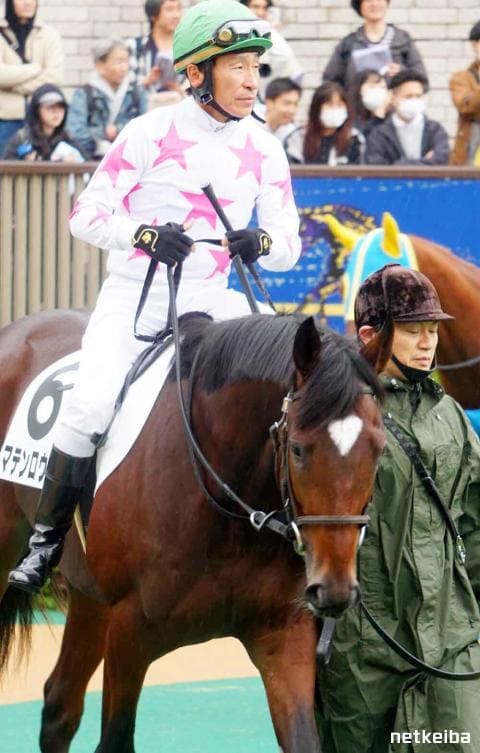 マテンロウゼロ