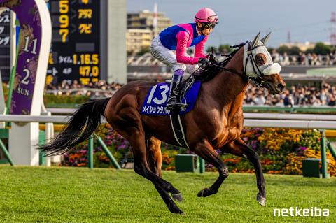 メイショウタバル