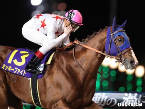 ミッキーファイト