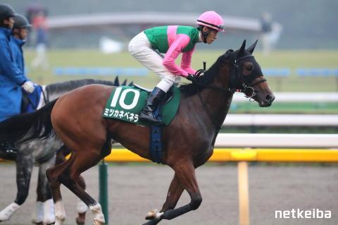 ミツカネベネラ