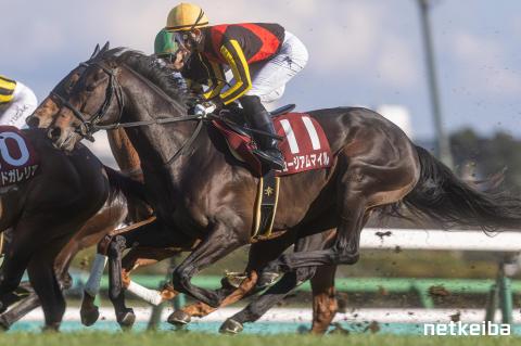 ミュージアムマイル