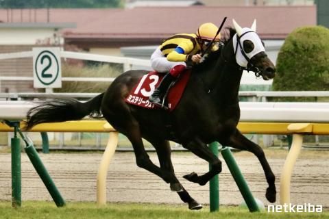 ミステリーウェイ