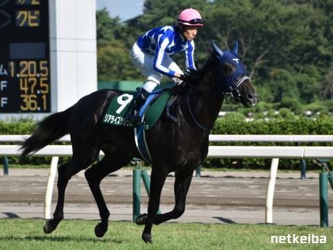 リアライズシリウス