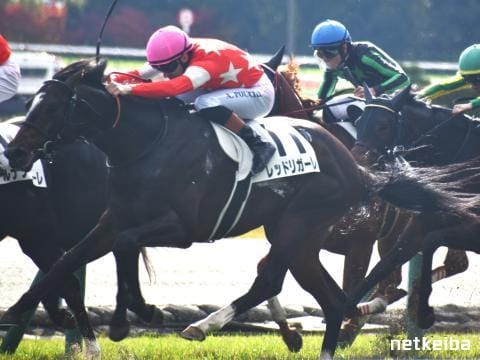 レッドリガーレ