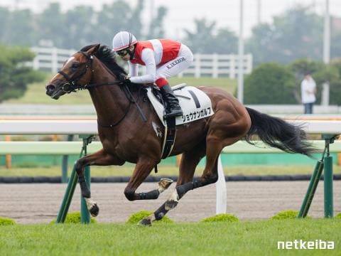 ショウナンガルフ