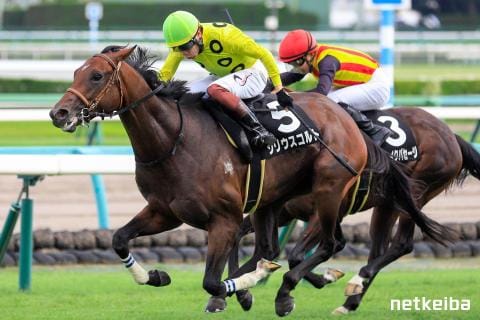 シリウスコルト