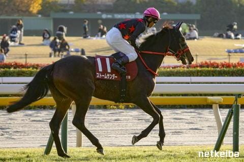 ストームサンダー