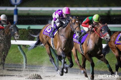 サンライズジパング