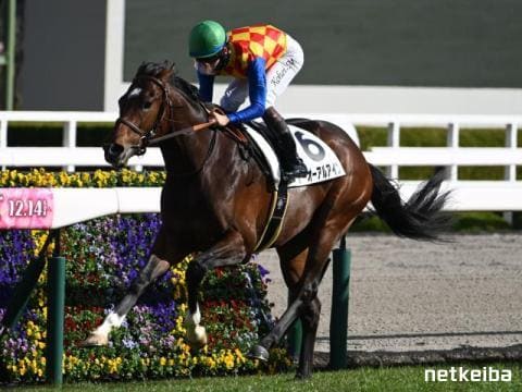 テーオーアルアイン