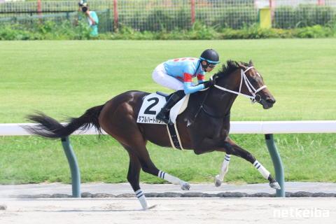 ダブルハートボンド