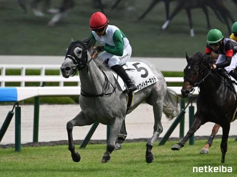 ホワイトオーキッド