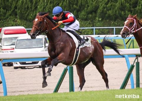 ウイナーズナイン