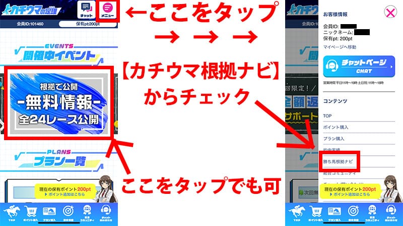 カチウマの定理 無料予想の見方