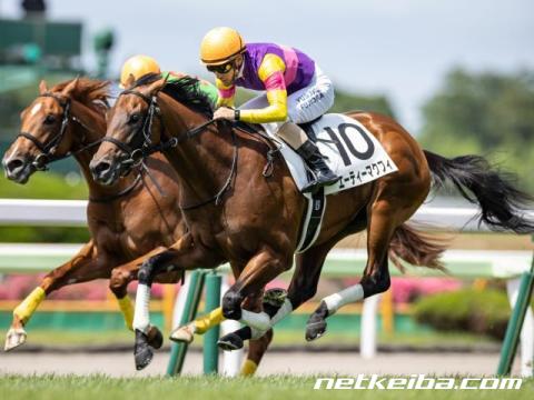 エーティーマクフィ