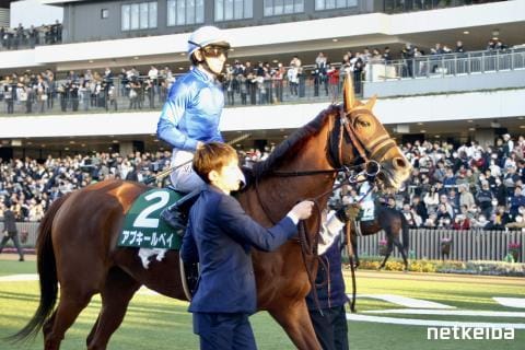 アブキールベイ