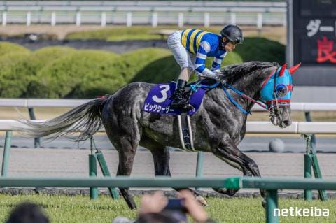 ビッグシーザー